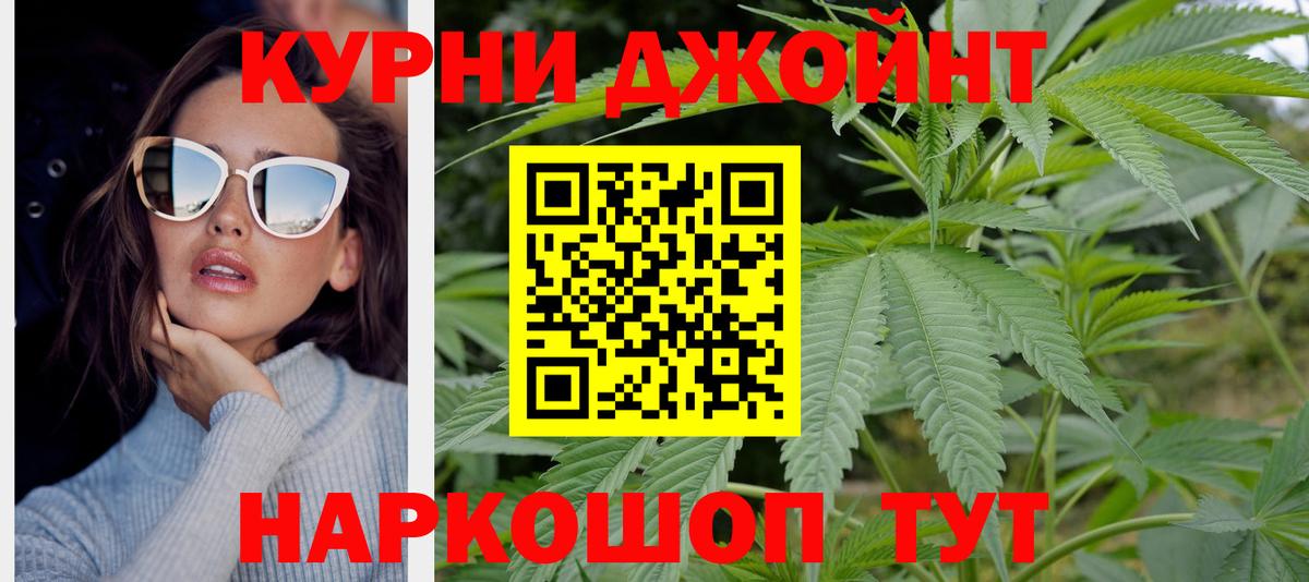 Каннабис планчик Кострома