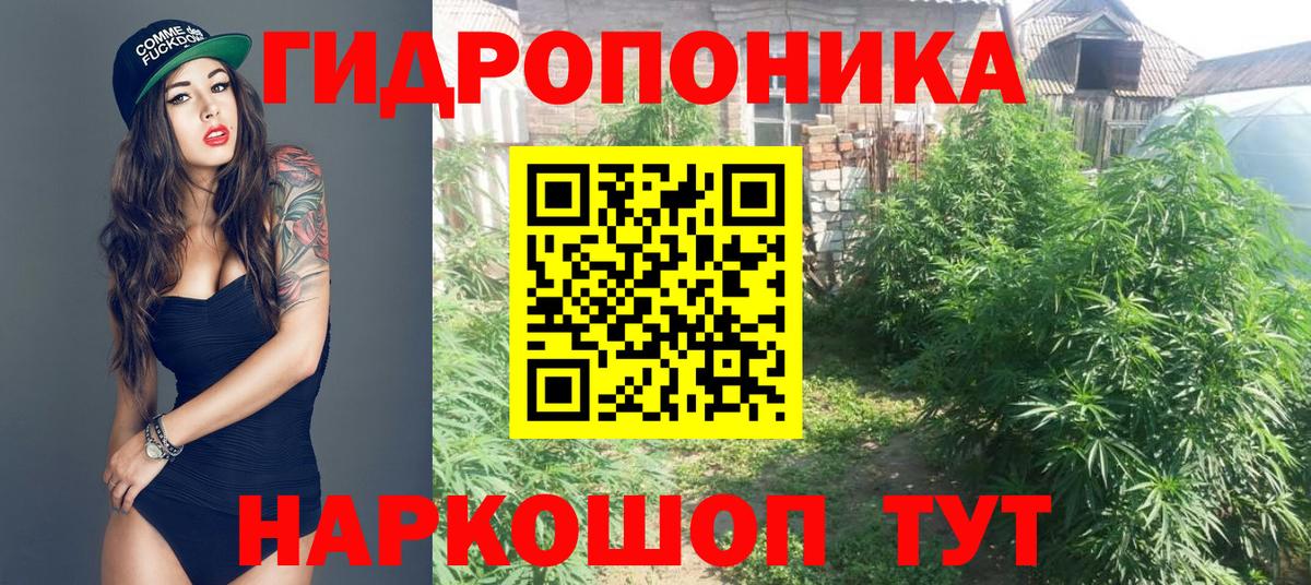 Кострома  Шишки марихуана план  Каннабис Amnesia  МАРИХУАНА конопля  Вход с VPN 